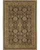 Andorra 2431a Brown/Gold Area Rug