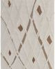 Anica 8008F Ivory/Taupe/Brown Rug