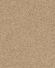 Bali Nylon Textured 48oz Carpet