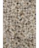 Bozeman BM2 Gray Area Rug