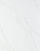 Calacatta Izaro Quartz Countertop