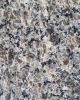 Caledonia Granite Countertop