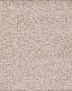 Calm Retreat Kashmere Nylon Textured Carpet