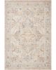 Carlisle CAR-02 Beige/Slate Area Rug
