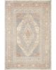 Carlisle CAR-06 Slate/Taupe Area Rug