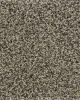 Charming Charisma SmartStrand Textured Carpet