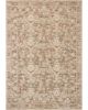 Clarisse CLS-01 Grey/Multi Area Rug