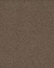 Classical Approach SmartStrand 70oz Carpet