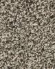 Designers Touch Textured Triexta 25oz Carpet