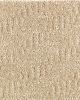 Distinctive Nature Patterned 46oz Carpet