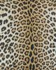 Dolce Amur Leopard New Gold Area Rug