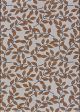 Dolce Summer Ivy Ivory Terracotta Area Rug