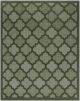 Easy Care NES01 Green Area Rug
