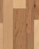 Nature's Canvas Silver Hickory Natural Hardwood