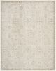 Envy EVV04 Taupe Area Rug