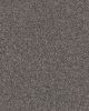 Expertise Sentimental 48.7oz Textured Carpet