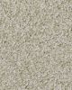 Celestia Nylon 70oz Textured Carpet