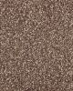 Subtle Tones Textured SmartStrand 57oz Carpet