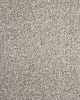 Detailed Statement Textured SmartStrand Carpet