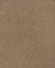 Opulent Tradition Textured Nylon 65oz Carpet