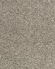 Candor SmartStrand Textured 43oz Carpet