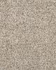 Leon Textured 40oz SmartStrand Carpet