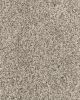 Cosmic Textured 70oz Everlux Nylon Carpet