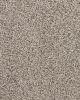 Apollo Bay Textured 45oz SmartStrand Carpet