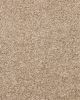 Nelson Bay Textured 55oz SmartStrand Carpet