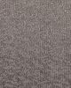 Sublime Style Patterned 46oz SmartStrand Carpet