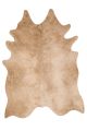 Grand Canyon GC-09 Tan Area Rug
