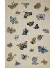 Highgrove HIG-01 Cream Area Rug