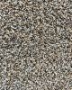 Soft Impact B Incognito Textured Berber Carpet