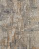 Jaxson 39PWF Gray/Tan/Ivory Area Rug