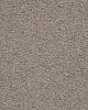 Refined Invitation Textured 60oz Carpet