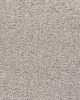 Simply Opulent SmartStrand 45oz Carpet