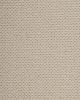 Kenetic Detail SmartStrand 55oz Carpet