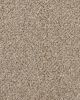 Revived Classic Textured 60oz SmartStrand Carpet