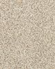 Instinctive Classic Textured 42oz SmartStrand Carpet