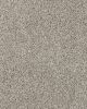 Salinas Valley I Textured 40oz SmartStrand Carpet
