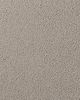 Salinas Valley II Textured 55oz SmartStrand Carpet