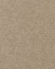 Delicate Shades Textured 70oz SmartStrand Carpet