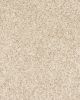 KS127 Textured 58oz Carpet