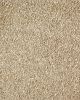 Lavish Luxury Textured SmartStrand Carpet