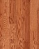 Natural Forest Red Oak Butterscotch 3 1/4