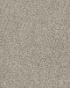 Make It Work Textured 29oz Carpet