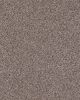 Monument Textured 52oz Carpet