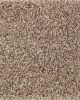 Natural Beautiful II SmartStrand Carpet
