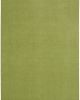 Nourison Essentials NRE01 Green Area Rug