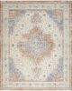 Nourison Essentials Persian NRE07 Beige Blue Area Rug